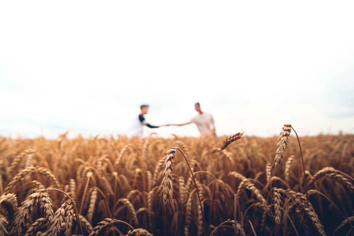 Sustainable Modern Farming